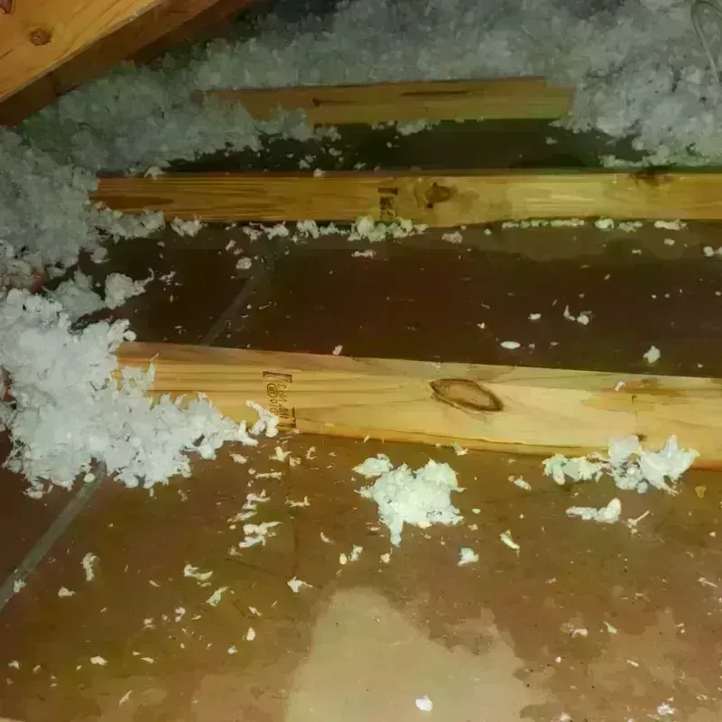 Attic Water Damage in Shelby, MT