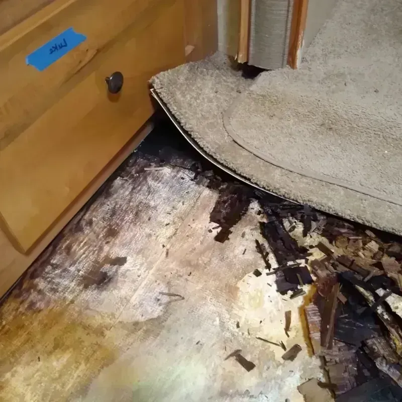 Wood Floor Water Damage in Shelby, MT